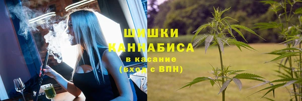 гидра Апатиты