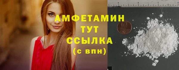 гашик Анжеро-Судженск