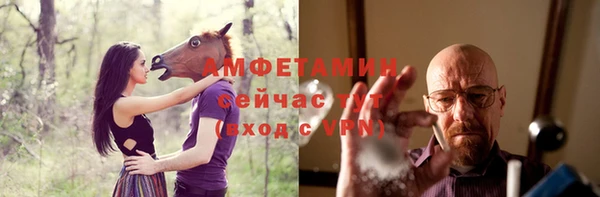 гашик Анжеро-Судженск