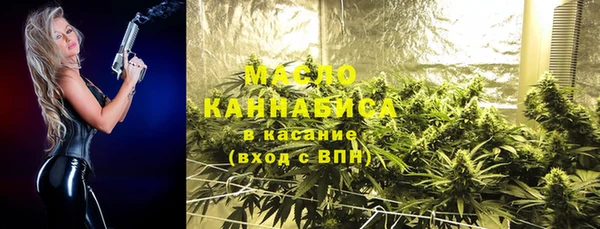 гашик Анжеро-Судженск
