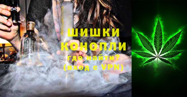 гашик Анжеро-Судженск
