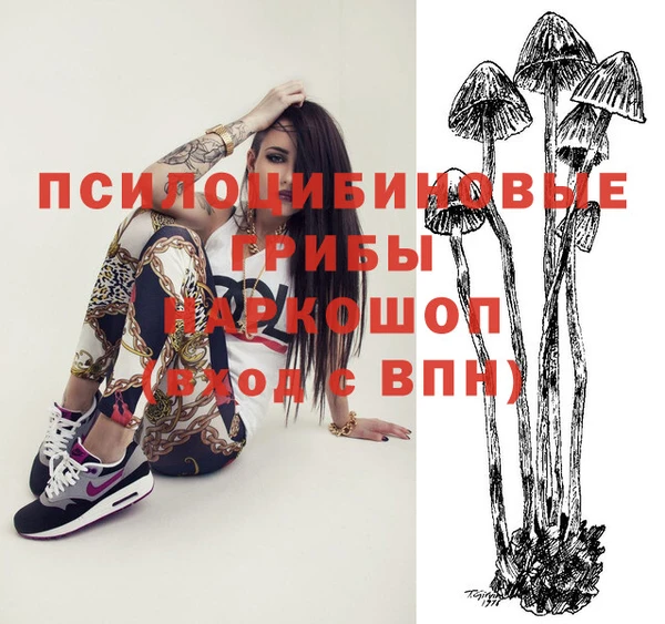 гидра Апатиты