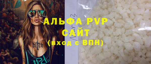 гашик Анжеро-Судженск