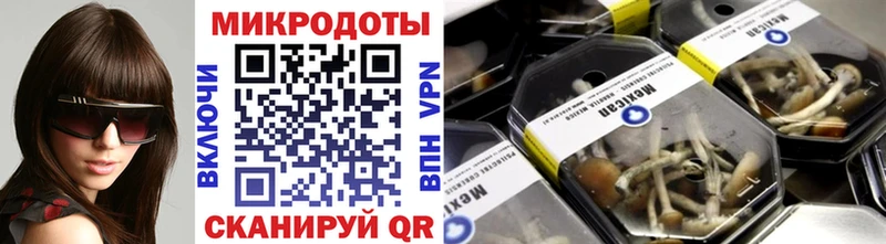 Галлюциногенные грибы Psilocybe  где продают   Дрезна 